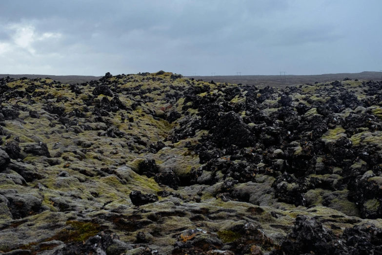 a rocky plain that has green plants on it