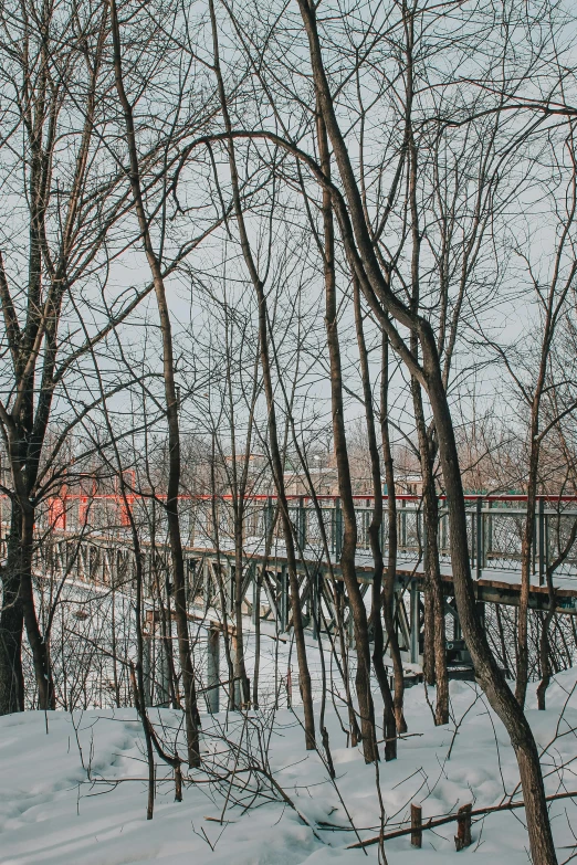 a view of trees, bridge and a snow covered ground