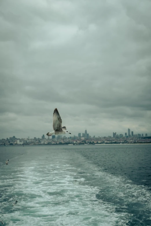 the sea gull is flying in an ominous sky