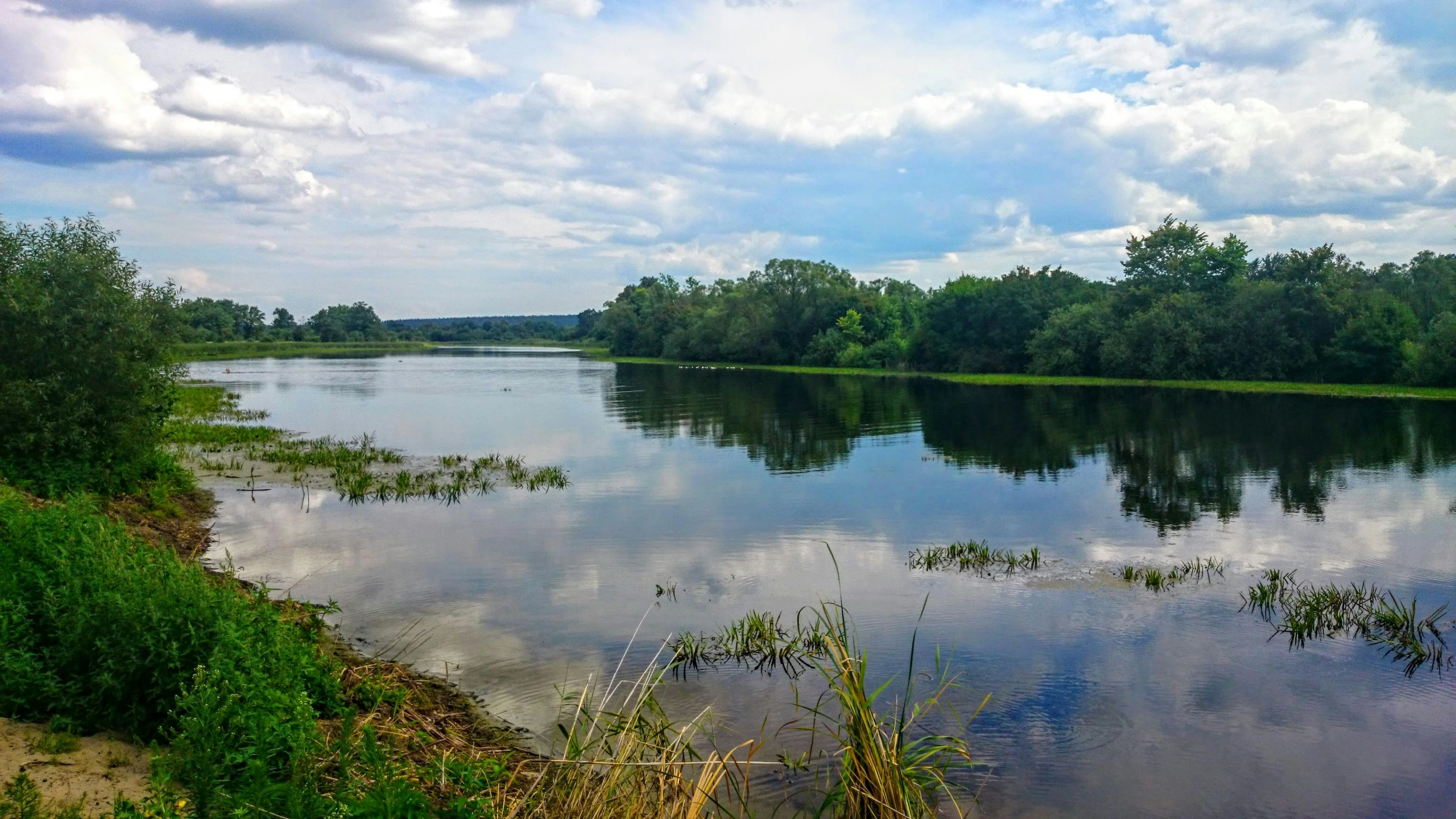 a large body of water surrounded by grass and trees