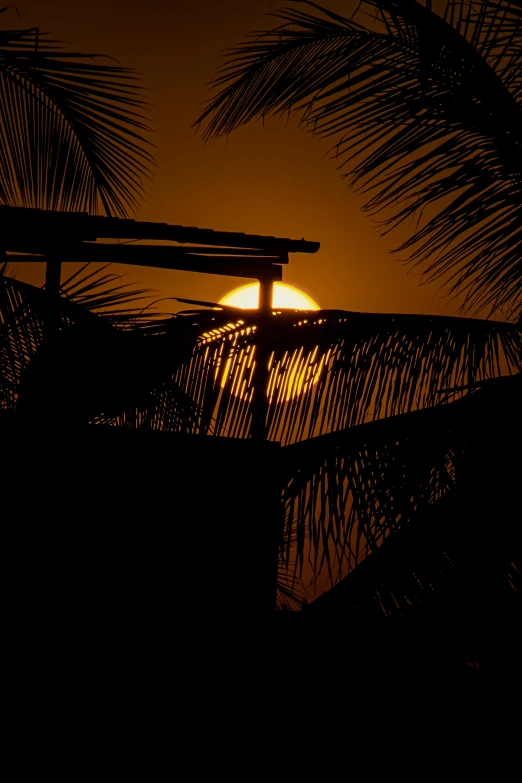 the sun sets in the sky over a structure on top of palm trees