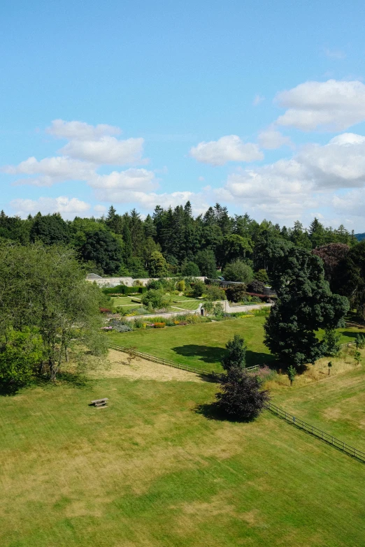 the lawn has many trees in it and a fence