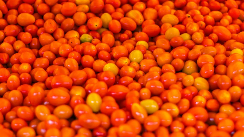 oranges in a pile are very pretty and shiny