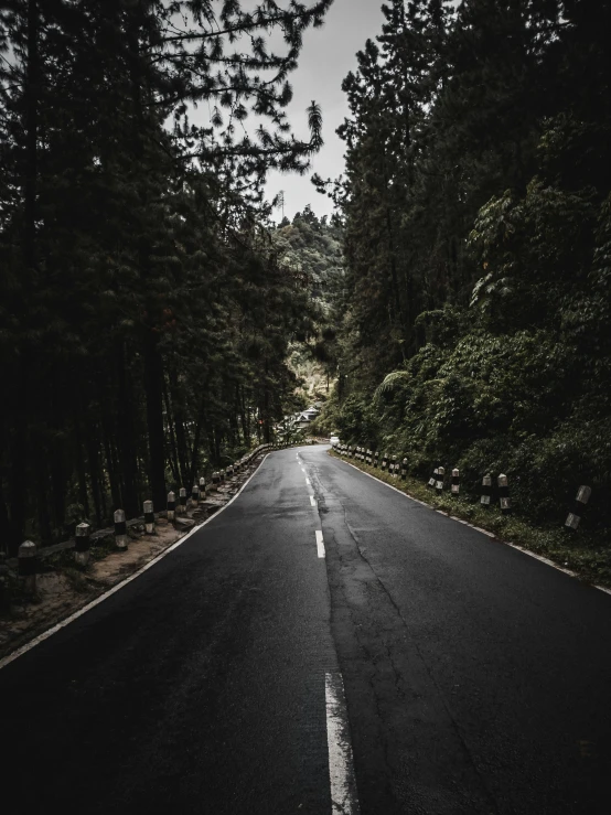 an empty road between trees in the dark