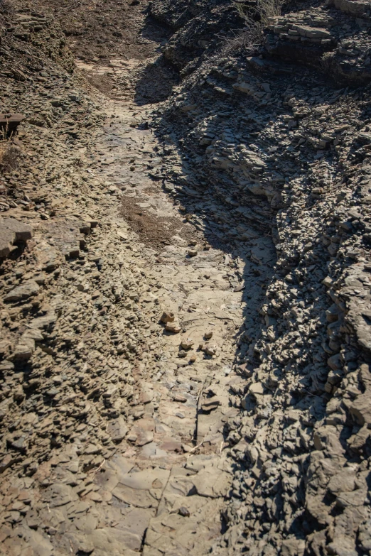 a stone path next to a lone sheep on a dry plain