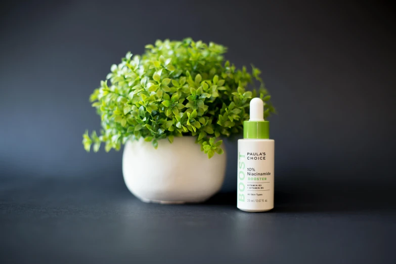 an eye cream and green plant sit in a white vase on a black surface