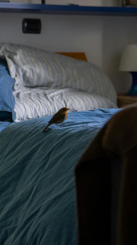 a bird standing on top of a bed next to a headboard