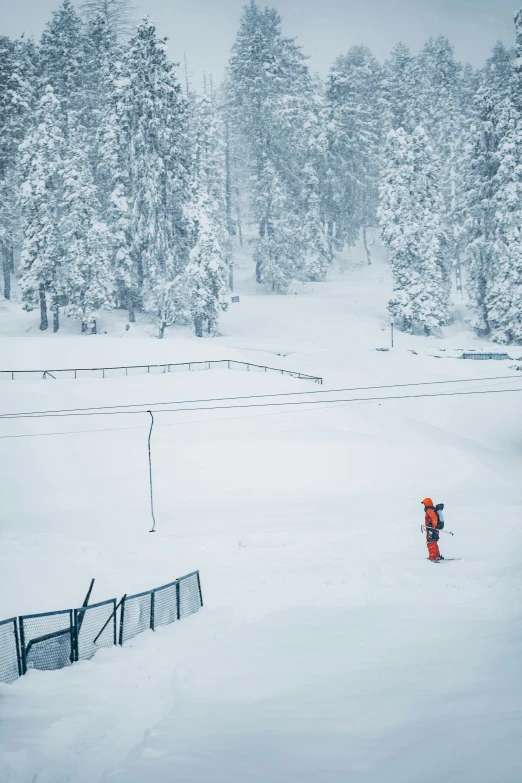 snow covered trees stand in the background as a lone man stands at the edge of a fence