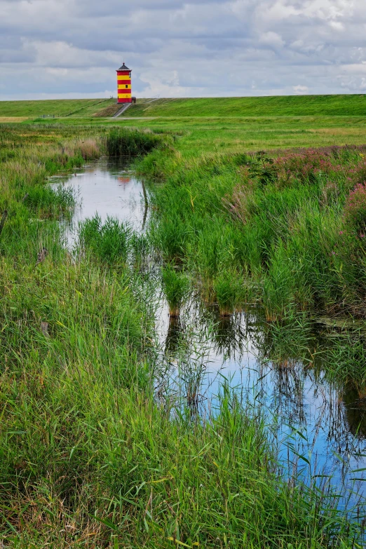 a pond in the grass with a light house in the background