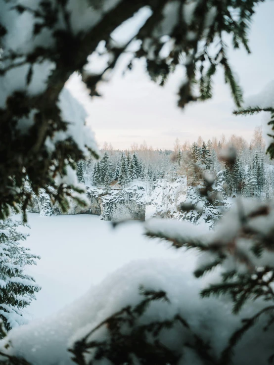 snow covered trees with houses in the distance