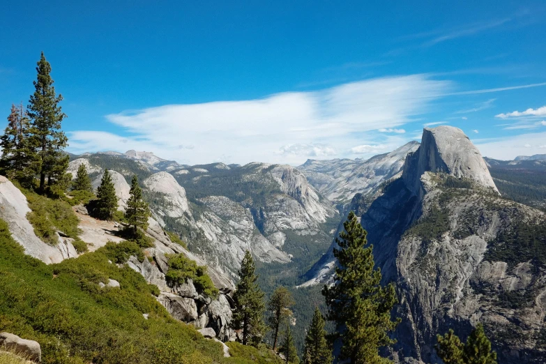 trees are growing on the side of a steep mountain