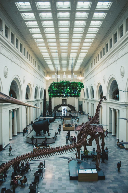 an indoor museum with people and various dinosaurs