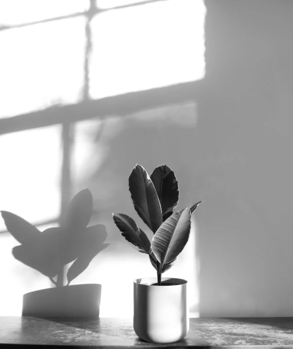 a small cactus sitting on a wooden table