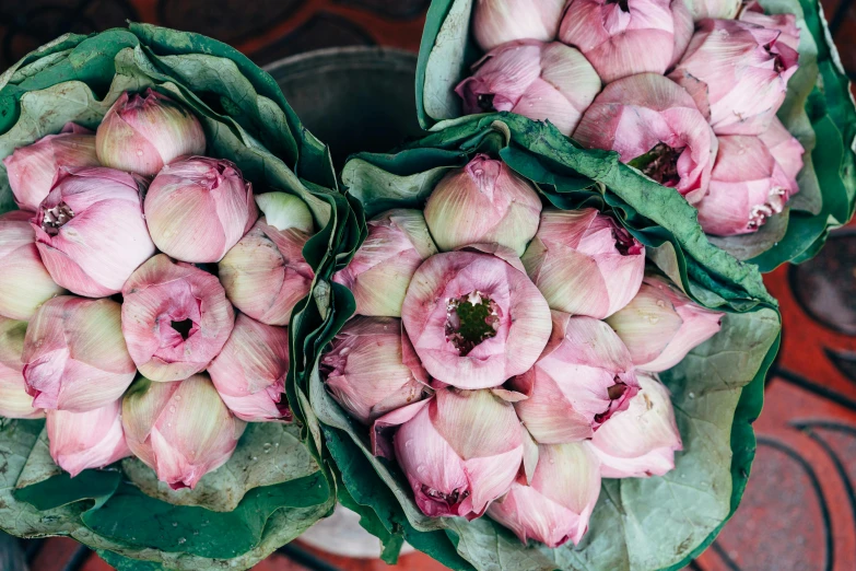 the flowers are fresh and blooming together in clusters