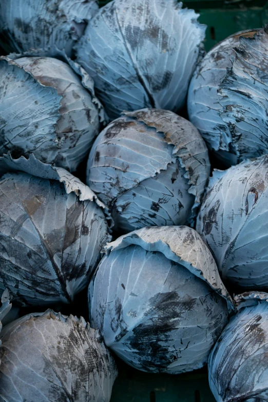 a bunch of fruits with blue coloring sitting together