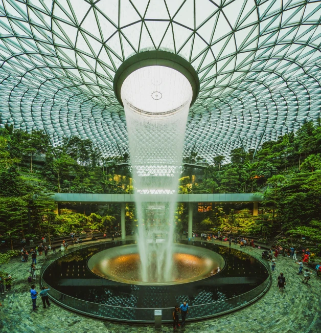 inside view of the biomal at gardens by the bay