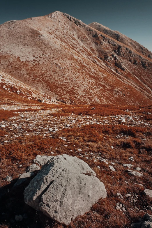 the desert landscape shows a mountain with rocky peaks and a few bushes growing on it