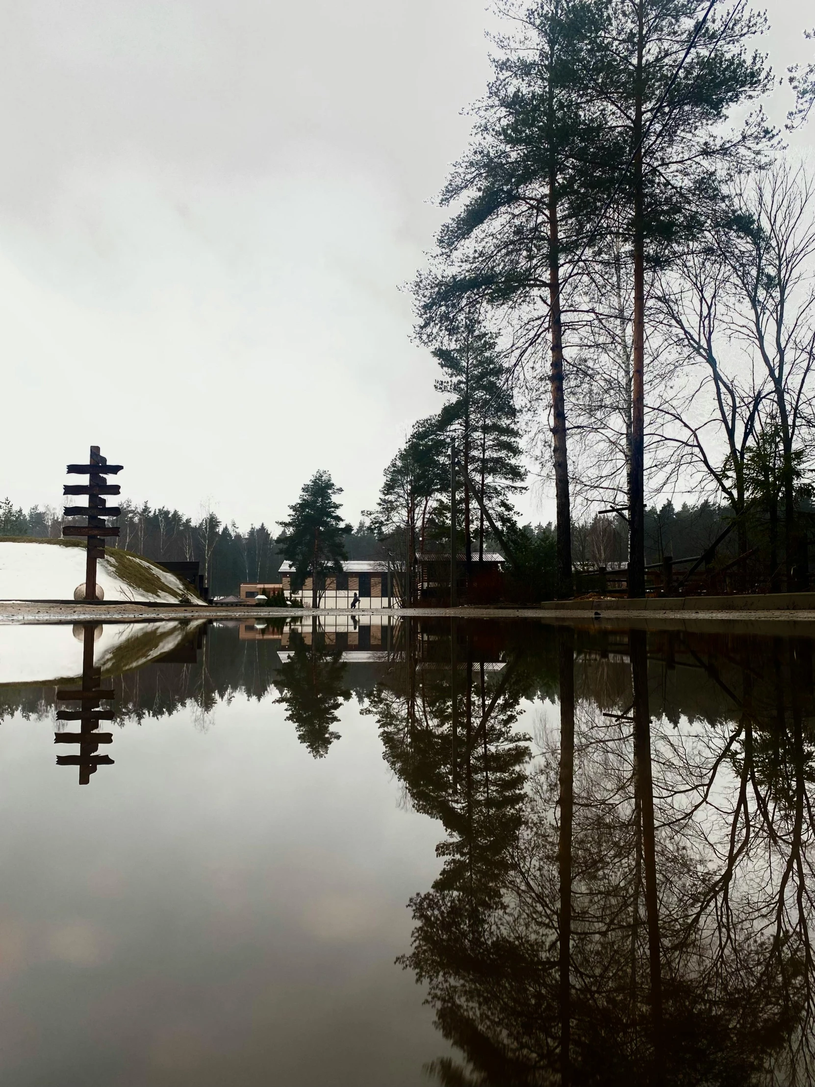 the reflection of trees in water next to dock