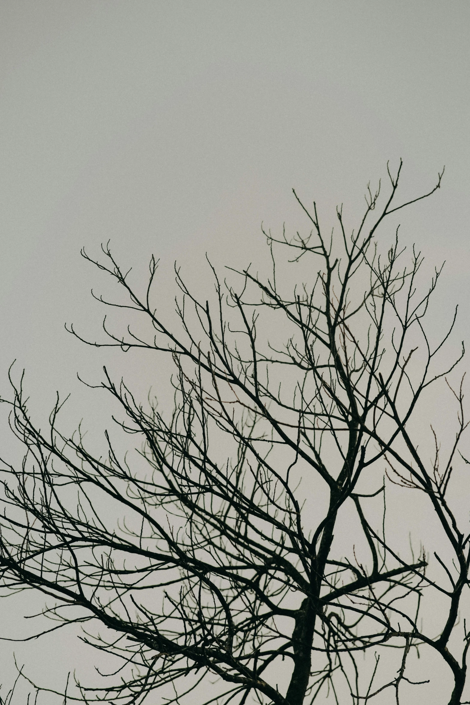 a tall clock tower against a gray sky