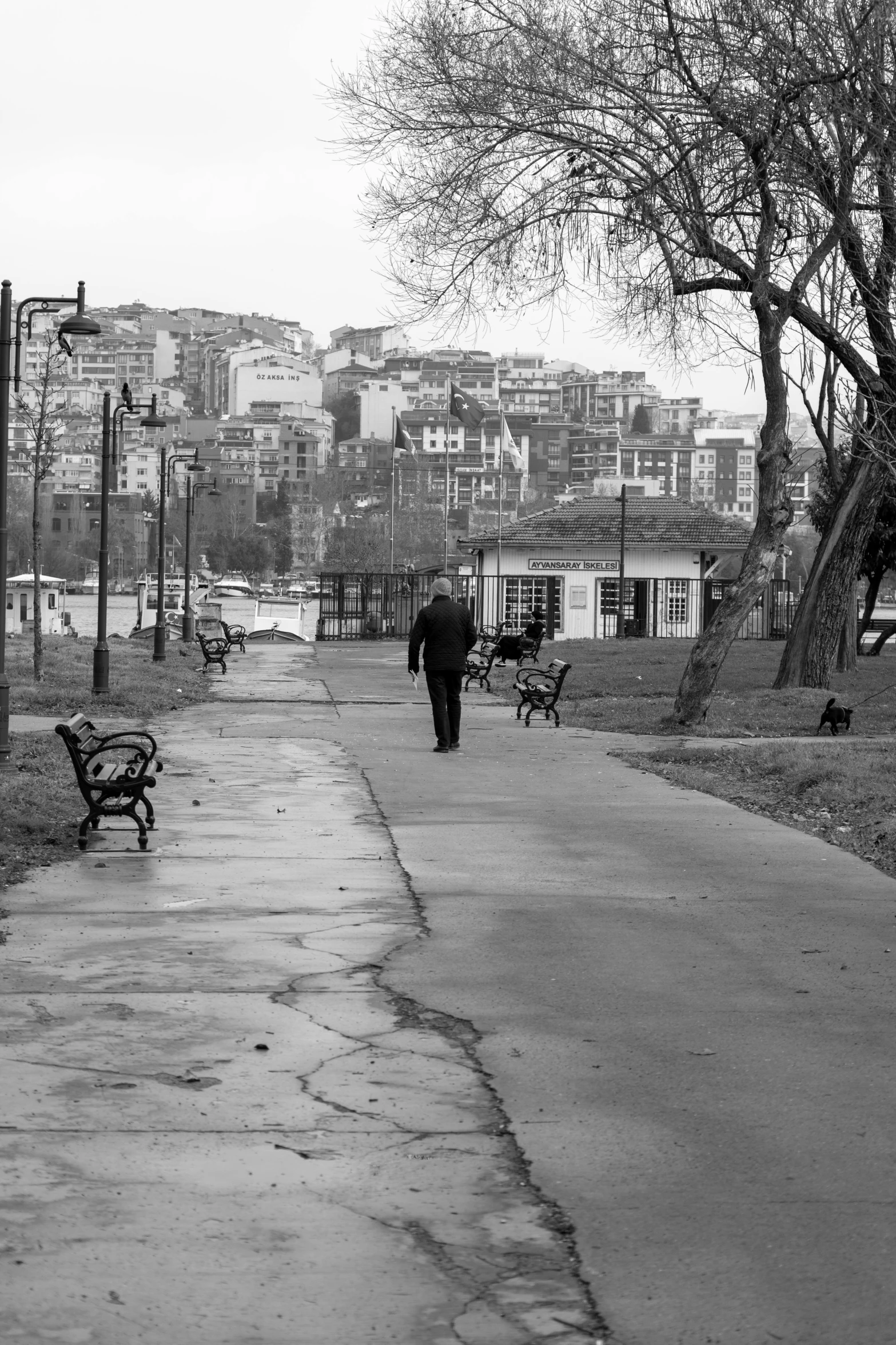 a man walking down a street past benches