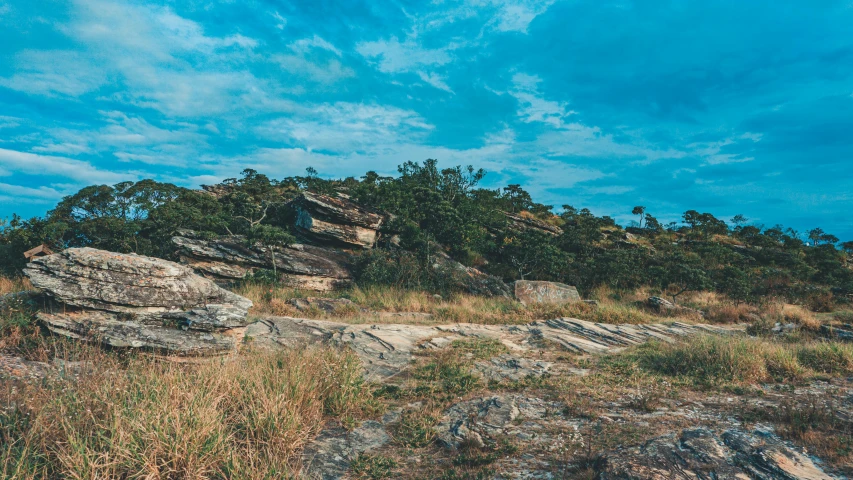 an animal standing on a hillside with a sky background