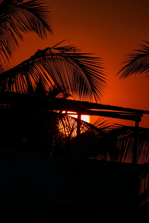 the sun is setting behind some palm trees