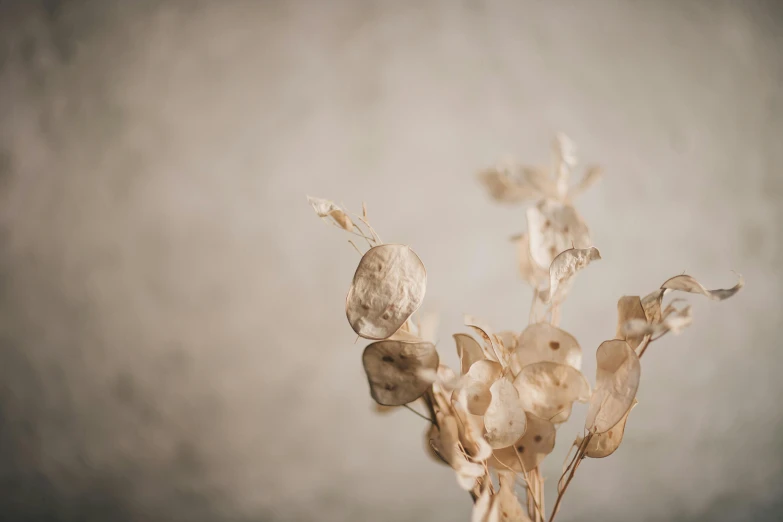 an up - cycled flower arrangement in a vase with smoke