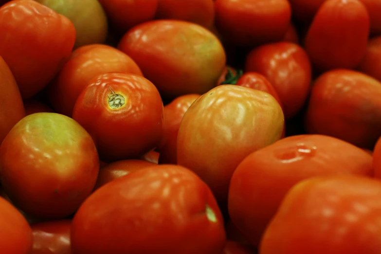 many tomatoes with a few small green ones