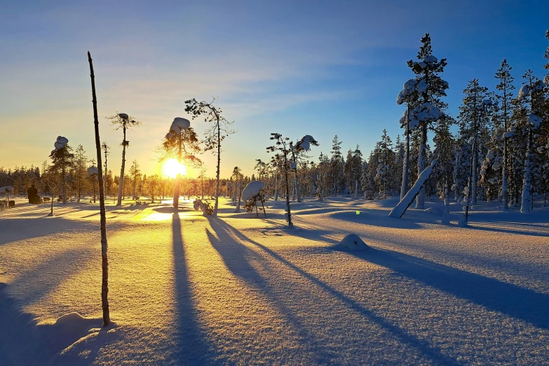 the sun is shining through the trees on the snowy hill