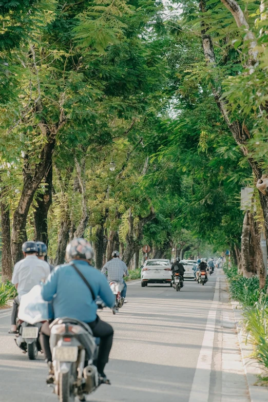 people riding motorcycles down a tree lined road