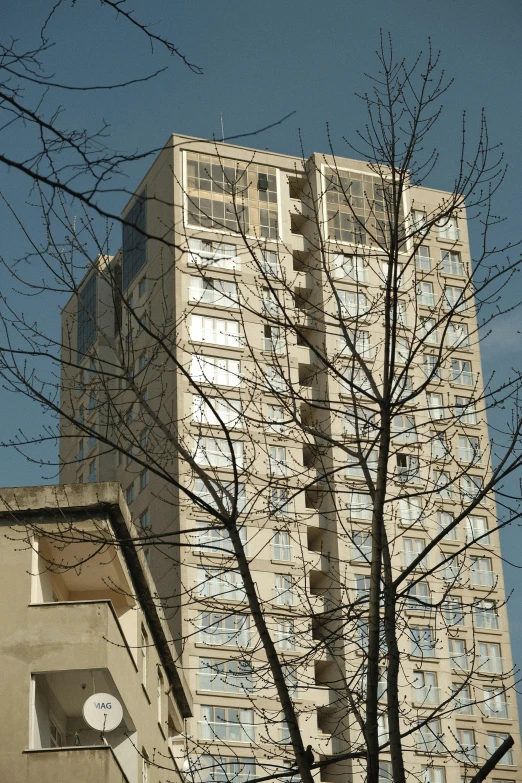 an urban building seen from the street, viewed from across a tree