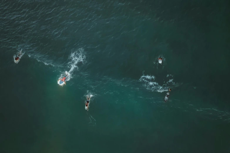 there are a lot of surfers out in the ocean