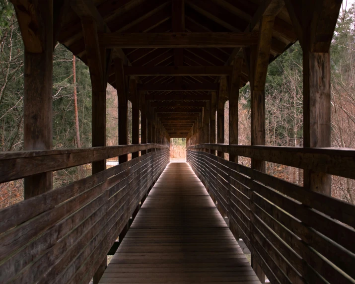 a wooden covered bridge with a view of the trees