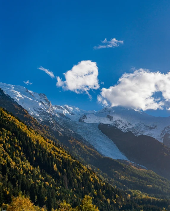 a beautiful view of mountains and forest during fall