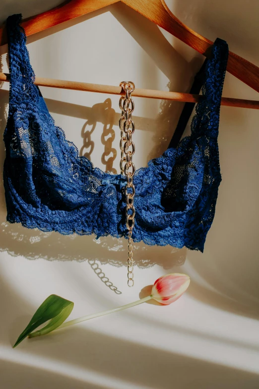 a blue  is hung on a rack and a rose is seen