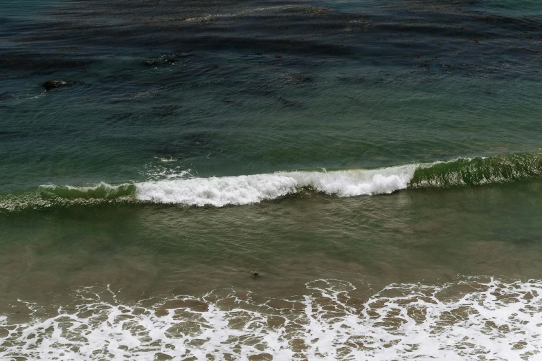 a body of water near the shore line