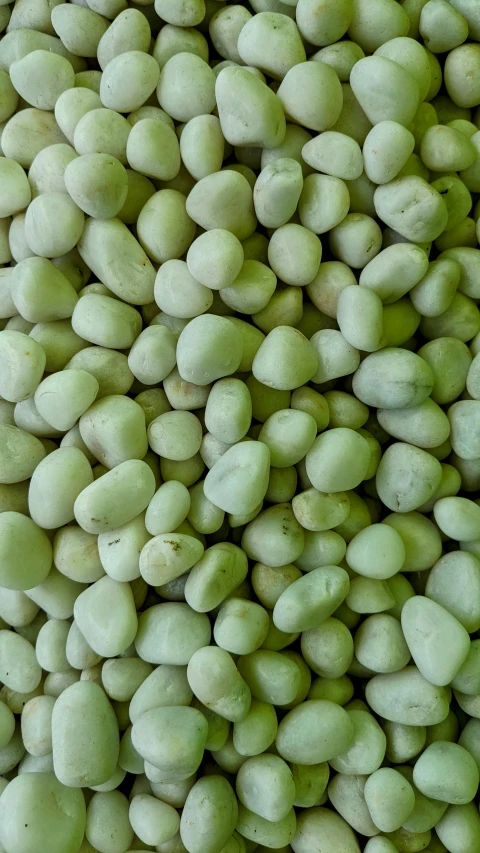 beans, including green, are one of the most popular foods