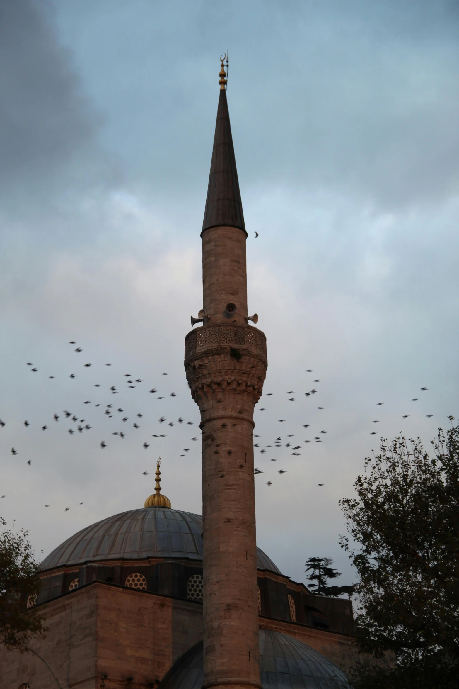 a tall tower with birds flying around it