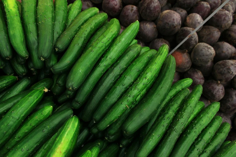 cucumber bunch in large pile with potatoes next to it