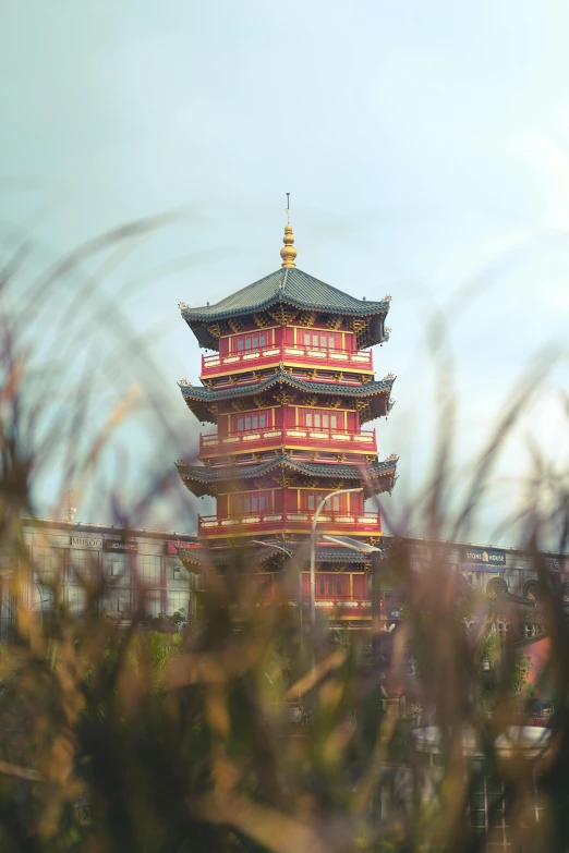 view of a tall oriental pagoda in the midst of trees