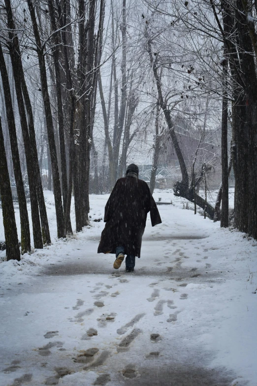 person in black jacket walking through trees during snow storm