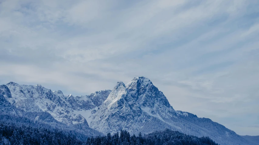 a mountain covered in snow and lots of trees