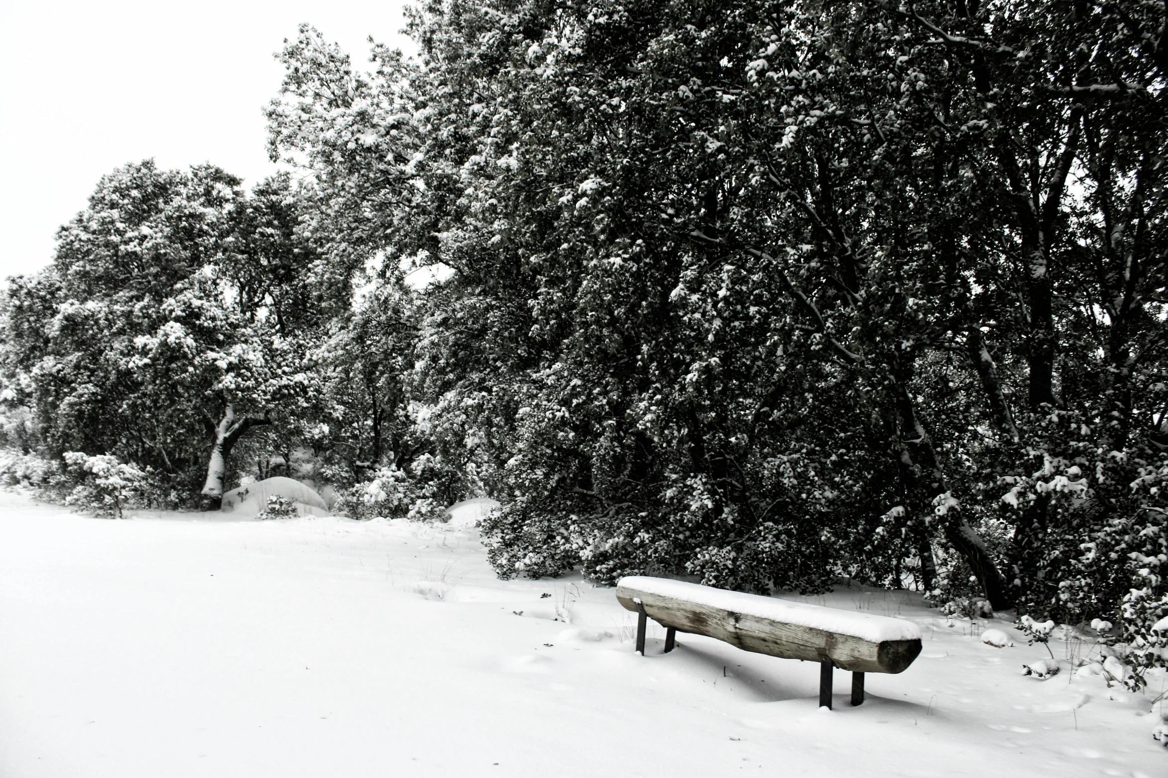 there is snow and a bench under some trees