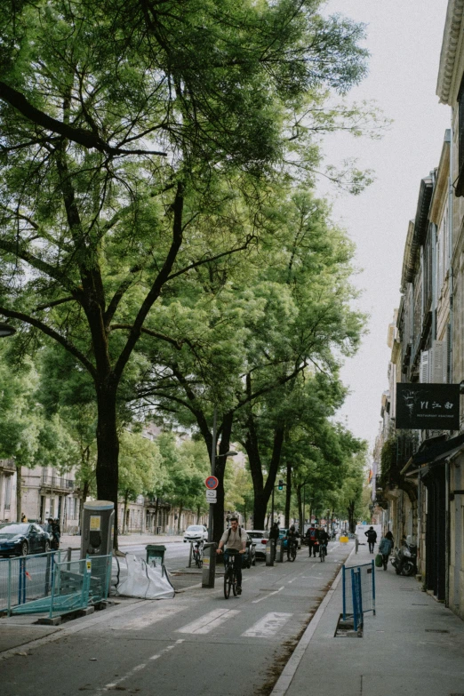 this is an outdoor area with trees and people riding bikes