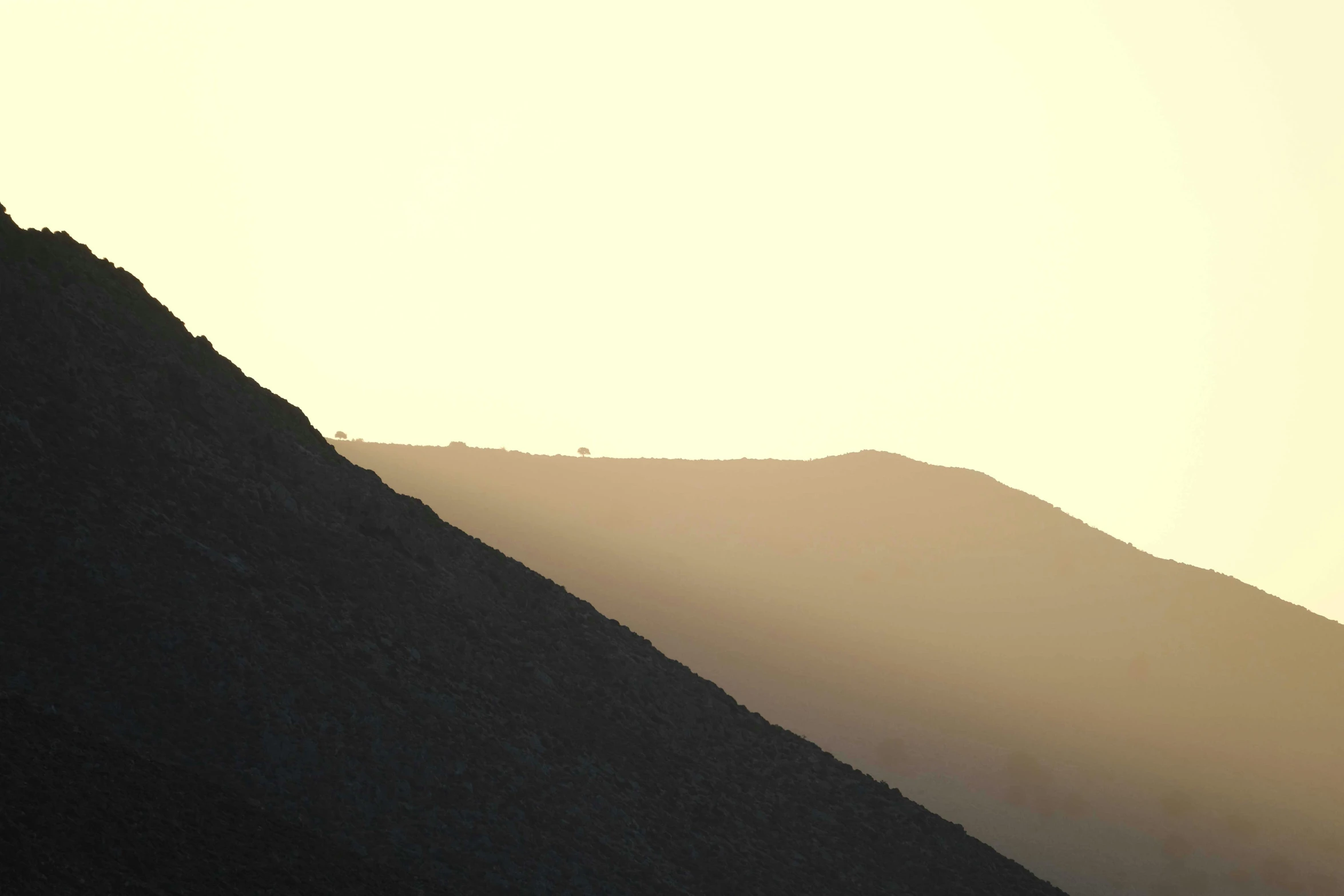 a bird sitting on top of a hill next to the sky