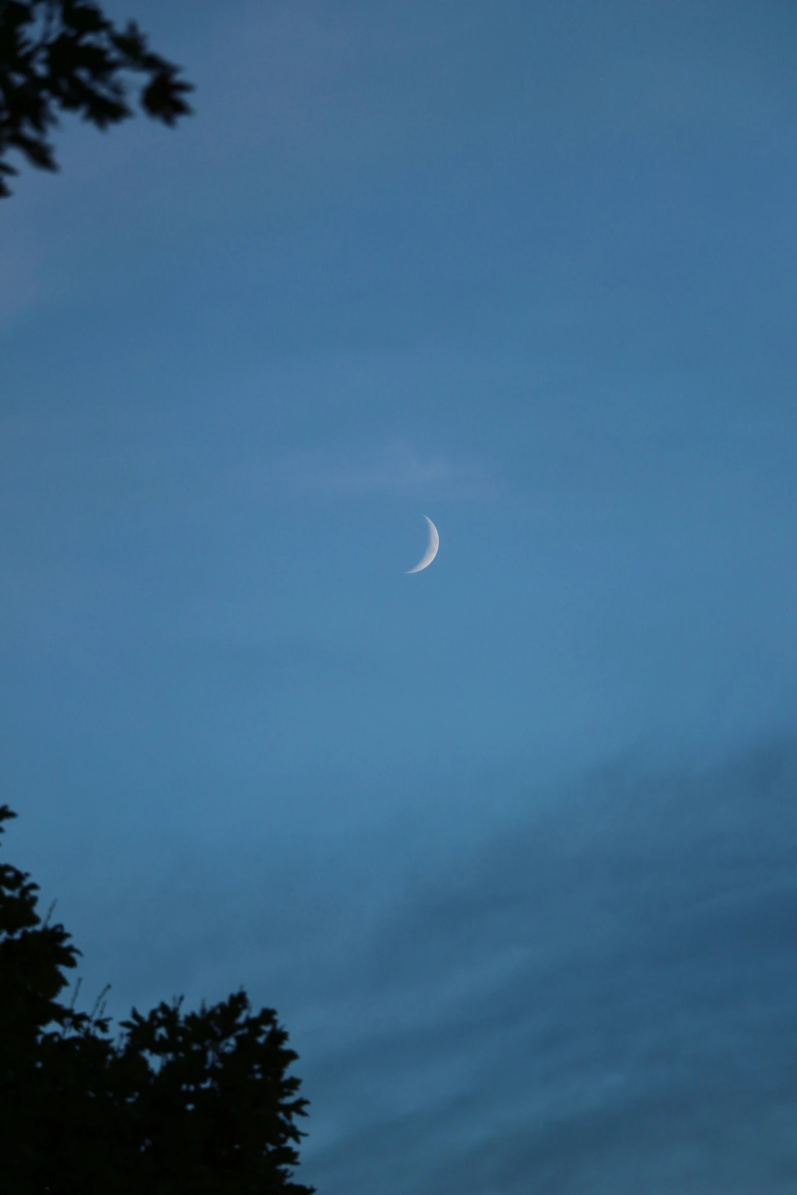 a night s of the moon and a few clouds