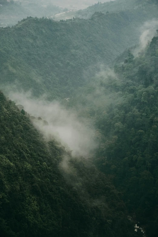 a misty mountain with lots of trees in the foreground