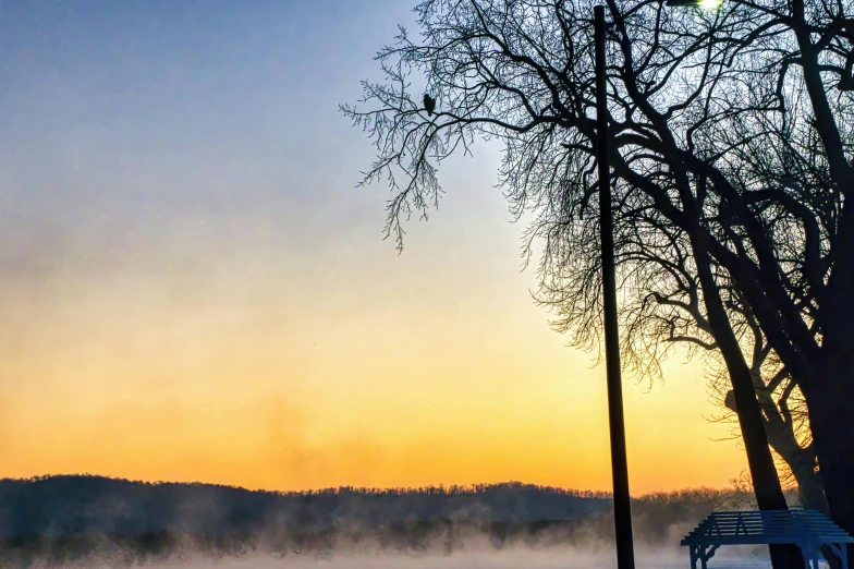 the view of a foggy and cold day from a park bench