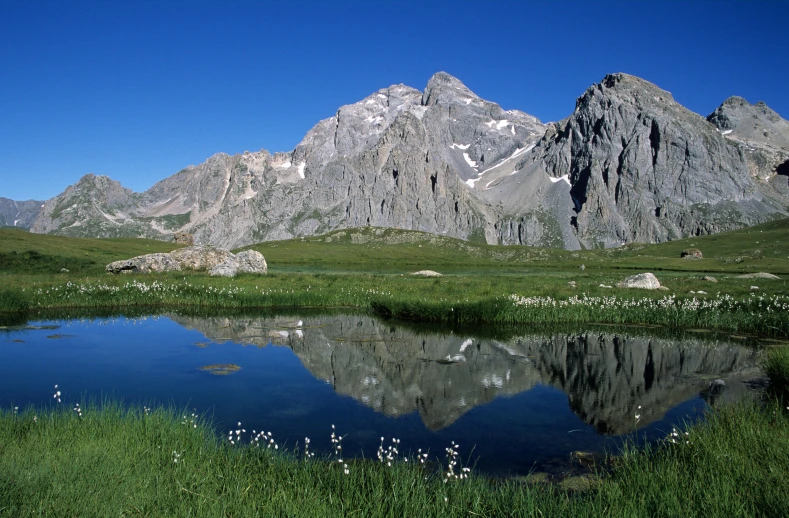 a body of water surrounded by grass and rocks