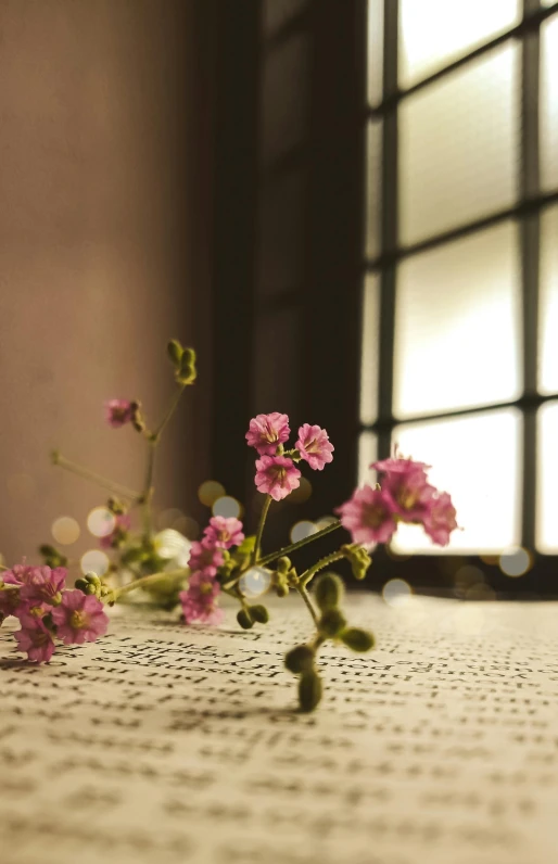 flowers on the table next to a window